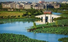  環(huán)保促發(fā)展系列報(bào)道（2）｜從&ldquo;優(yōu)環(huán)境&rdquo;到&ldquo;強(qiáng)產(chǎn)業(yè)&rdquo;再到&ldquo;惠民生&rdquo; 東莞市麻涌鎮(zhèn)走通綠色發(fā)展&ldquo;閉環(huán)&rdquo;