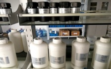  什么是氨氮總磷總氮？