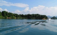  多功能水質分析儀器：守護生命之源