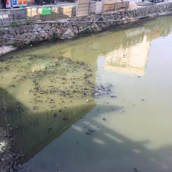  秋冬交替，污泥又到了換季膨脹的季節(jié)