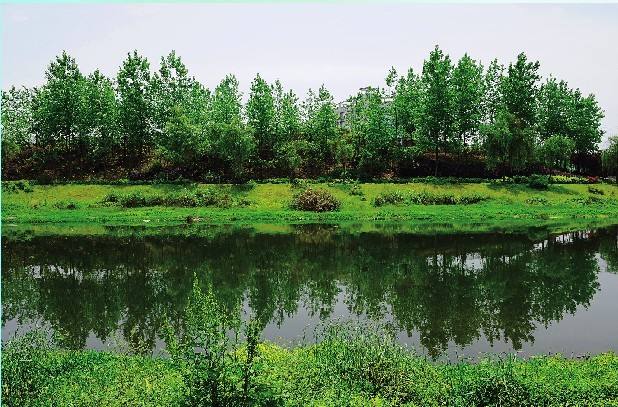  小微型水質(zhì)監(jiān)測站如何選用水質(zhì)自動采樣器？